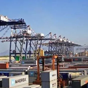 Porto di Gioia Tauro: 72 chili di cocaina in due container