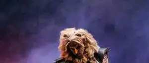 Teatro Rendano: tutto esaurito per il musical Il Re Leone