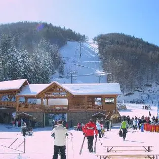 SPORT INVERNALI | A Palumbo Sila torna il grande sci