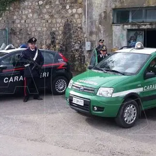 Qualità dell’acqua a Cosenza, blitz dei Carabinieri a Palazzo dei Bruzi