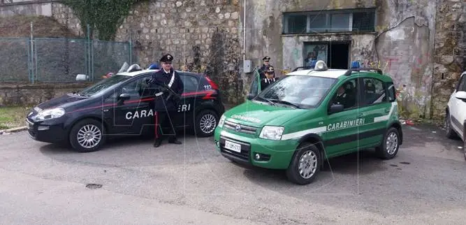 Qualità dell’acqua a Cosenza, blitz dei Carabinieri a Palazzo dei Bruzi