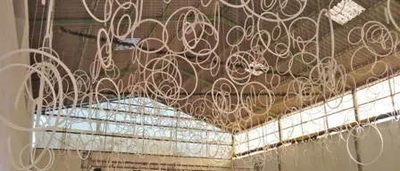 Organizzano veglione abusivo a Rossano, sanzionati per 21mila euro