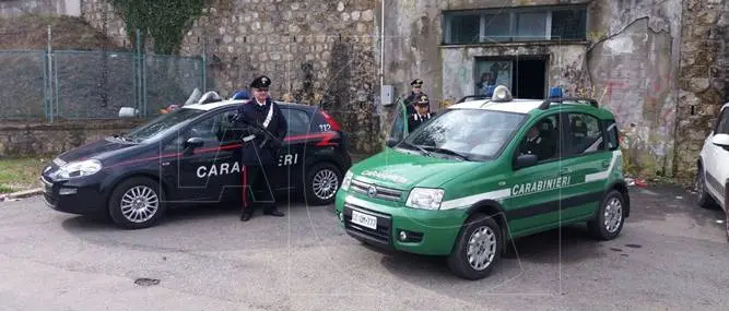 Emergenza idrica Cosenza, l'Arpacal consegna le prime analisi