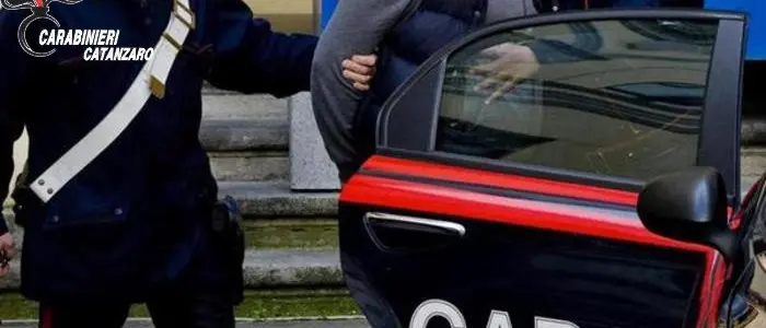 Sellia Marina: sorpreso ad abbattere un albero, pensionato finisce in manette