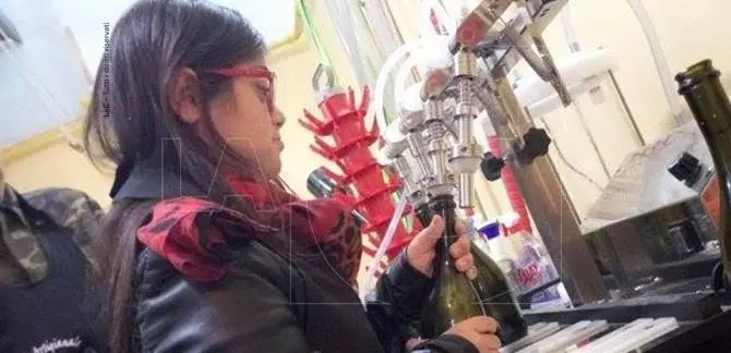 REPORTAGE | Una “birra solidale”: un progetto tutto calabrese