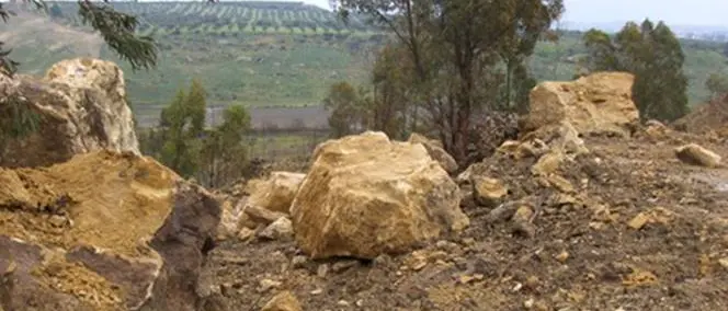 Cava abusiva in rimboschimento eucaliptus: sequestro nel Crotonese