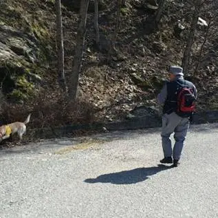 Carcasse di animali sotterrate nel Parco del Pollino: deferite due persone