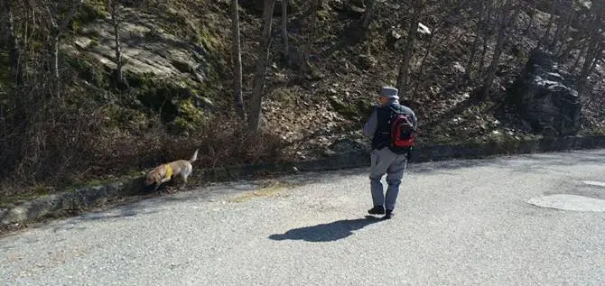 Carcasse di animali sotterrate nel Parco del Pollino: deferite due persone