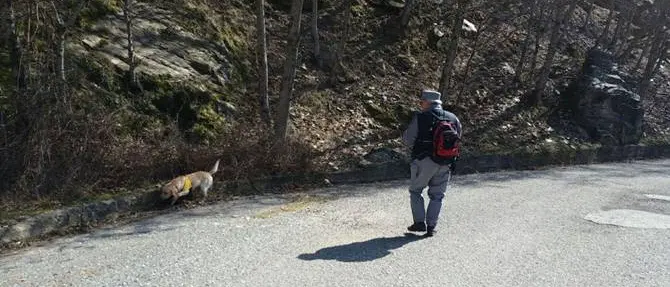 Carcasse di animali sotterrate nel Parco del Pollino: deferite due persone
