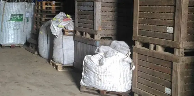 Cosenza: sequestrati mille quintali di patate
