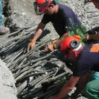 Calabria Verde e Consorzi di bonifica: i 7 mila lavoratori chiedono il pagamento degli stipendi