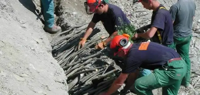 Calabria Verde e Consorzi di bonifica: i 7 mila lavoratori chiedono il pagamento degli stipendi