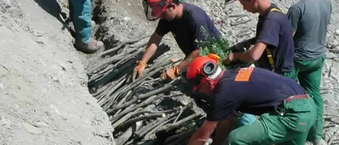 Calabria Verde e Consorzi di bonifica: i 7 mila lavoratori chiedono il pagamento degli stipendi