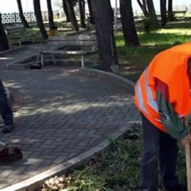 Catanzaro, appalto sulla gestione del verde: rigettato il ricorso della Verdidea