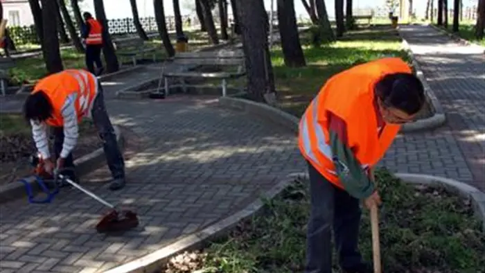 Catanzaro, appalto sulla gestione del verde: rigettato il ricorso della Verdidea