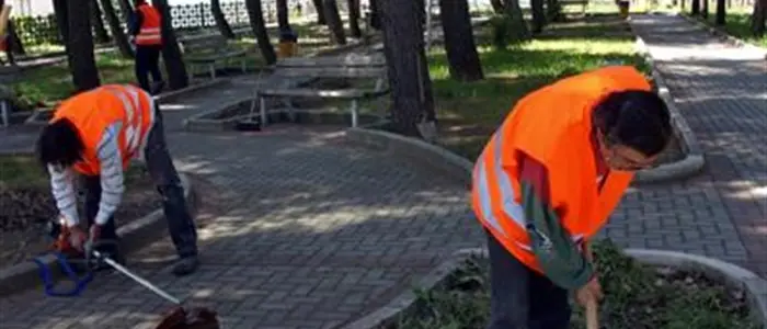 Catanzaro, appalto sulla gestione del verde: rigettato il ricorso della Verdidea