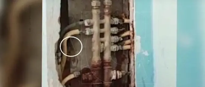 Topo a spasso nelle aule del Nautico di Pizzo. E gli studenti disertano le lezioni