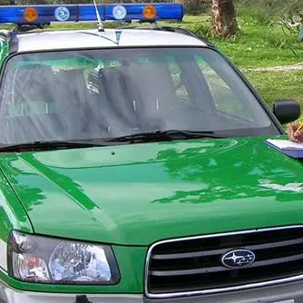 Sradicate senza autorizzazione piante forestali: sequestrata vasta area a Rende