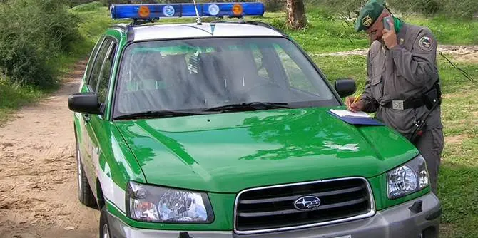 Sradicate senza autorizzazione piante forestali: sequestrata vasta area a Rende