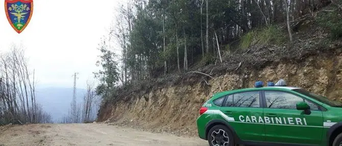 “Scempio ambientale” nel Reggino: una persona denunciata