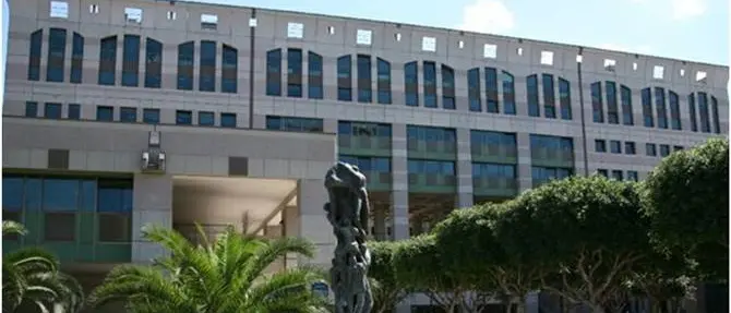 Calabria, truffa Ue: indagati il direttore generale Agricoltura, funzionari e un sindaco