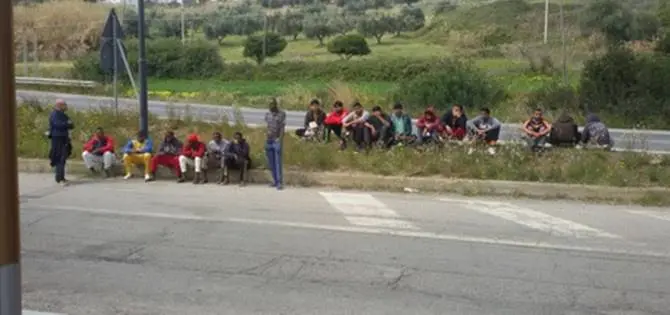 Amendolara: migranti in protesta lungo la Statale 106