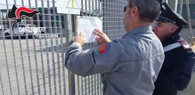 Reggio: sequestrato il canile comunale e denunciato il gestore (VIDEO)