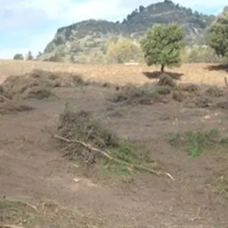 Lavori su terreno incendiato: un sequestro e una denuncia nel Crotonese