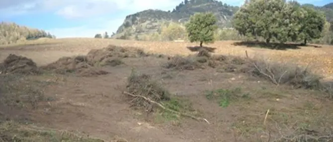 Lavori su terreno incendiato: un sequestro e una denuncia nel Crotonese
