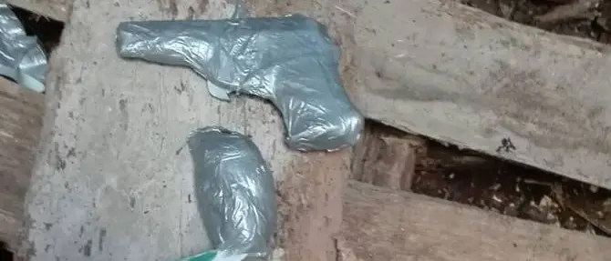 Pistola e munizioni nella legnaia di casa: un arresto nel Vibonese