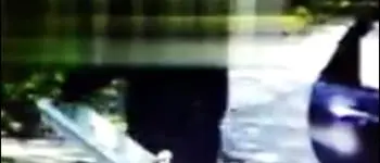 Catanzaro, rifiuti abbandonati: sorpreso dal sistema di videosorveglianza (VIDEO)