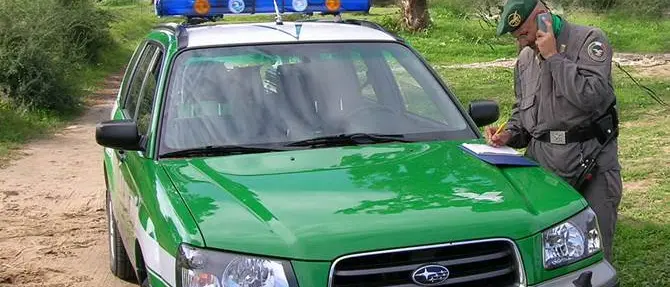 Furto di materiale da una ditta confiscata: un arresto e 2 denunce nel Reggino