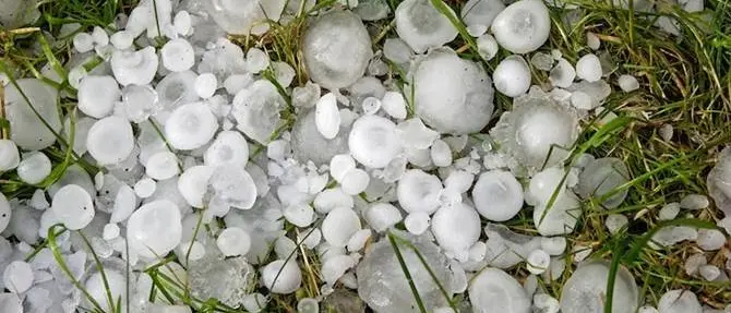 Crotone: violenta grandinata, la Cia chiede stato di calamità