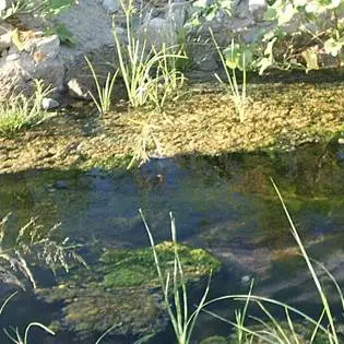 Fogne in un torrente, sequestrati tre depuratori nel cosentino