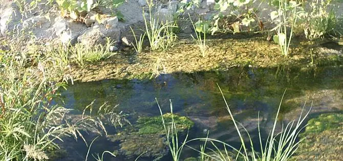 Fogne in un torrente, sequestrati tre depuratori nel cosentino