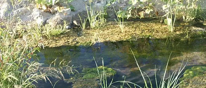 Fogne in un torrente, sequestrati tre depuratori nel cosentino