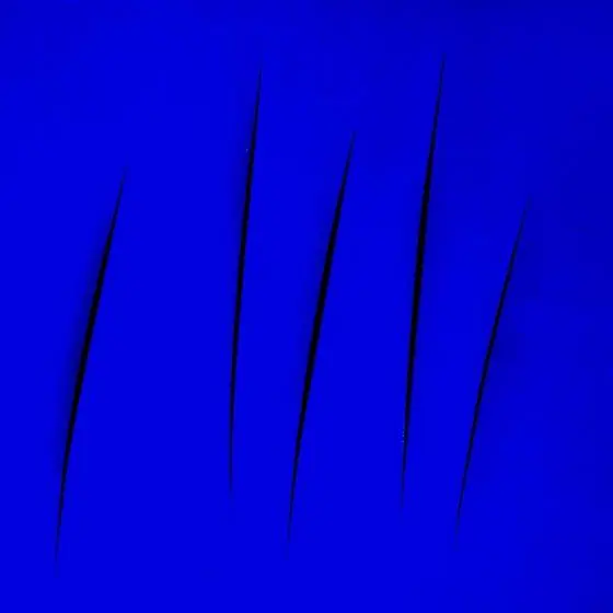 'Nel Blu dipinto di Blu...da Yves Klein, la magia del colore nell'arte contemporanea' al MACA di Acri