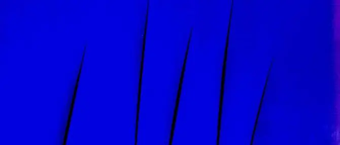 'Nel Blu dipinto di Blu...da Yves Klein, la magia del colore nell'arte contemporanea' al MACA di Acri