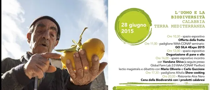 Expo 2015, Lacnews24.it in diretta streaming da Milano seguirà gli eventi dedicati alla Calabria