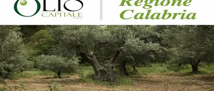 La Regione presente a ''Olio Capitale''