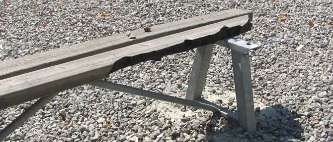 Lamezia, atti vandalici al parco, il sindaco Mascaro: 'il Comune si costituirà parte civile' FOTOGALLERY