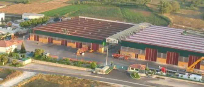 Caso Gam Oil, intervista all'avv. Manduca: ‘Ricorso in Cassazione spegnerebbe la speranza di riattivare la fabbrica’