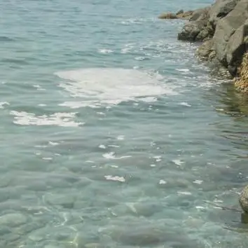 Mare sporco nel vibonese, Guardia Costiera: ‘il depuratore di Tropea è a norma’