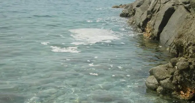 Emergenza mare-sporco, i turisti scappano via VIDEO