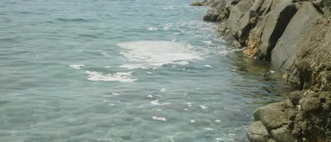 Emergenza mare-sporco, i turisti scappano via VIDEO