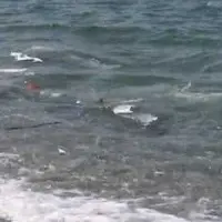 Mare sporco a Lamezia: vertice in Prefettura VIDEO