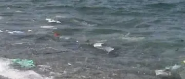 Mare sporco a Lamezia: vertice in Prefettura VIDEO