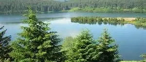 IL PARCO DELLA SILA ADESSO PUNTA A DIVENTARE PATRIMONIO DELL'UMANITA'