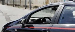 Mammola (Rc): scoperta e distrutta una piantagione di marijuana