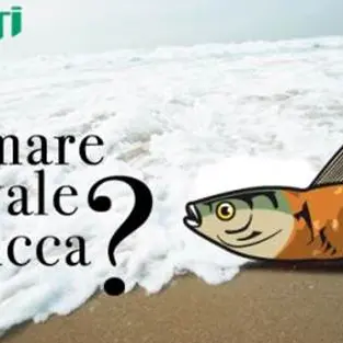 ‘Ma il mare non vale una cicca?’, la campagna a cui ha aderito l’Area Marina protetta ‘Capo Rizzuto’